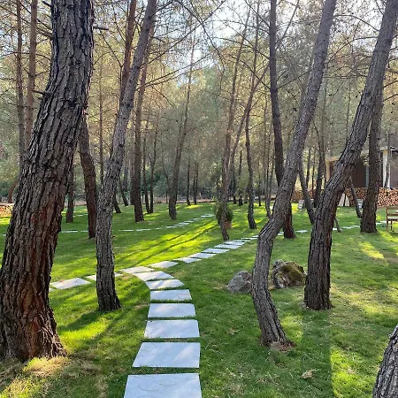 Kayakoey Luxury Tiny Forest Szálloda Kayakoy
